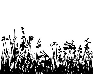 Image showing meadow silhouettes