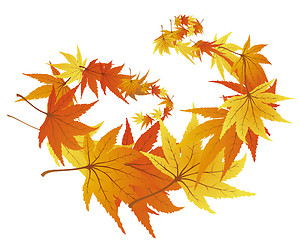 Image showing autumn leaves