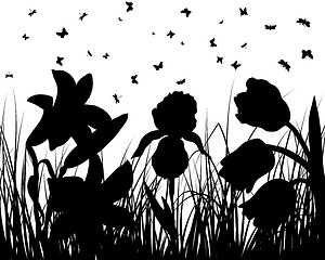 Image showing meadow silhouettes