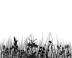 Image showing meadow silhouettes