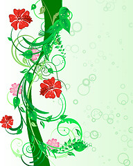 Image showing floral background