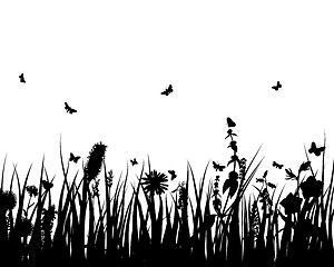 Image showing meadow silhouettes