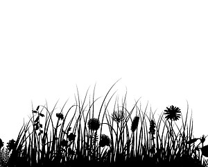 Image showing meadow silhouettes