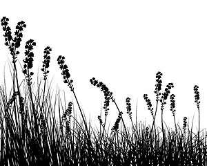 Image showing meadow silhouettes