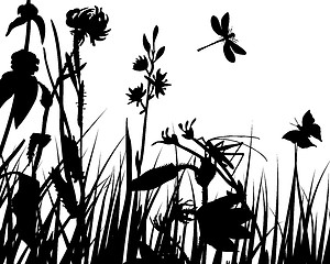 Image showing meadow silhouettes