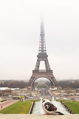 Image showing Paris #43