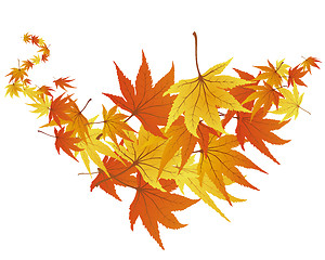 Image showing autumn leaves