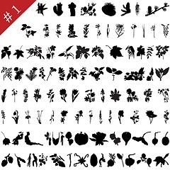 Image showing Plants set #1