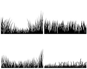 Image showing set of grass silhouettes