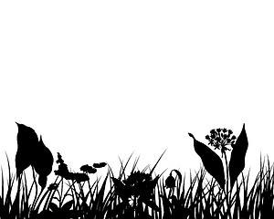 Image showing meadow silhouettes