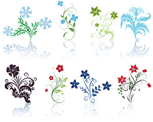 Image showing berries and flowers silhouettes