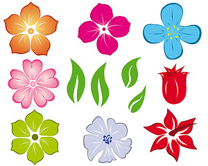 Image showing flower set