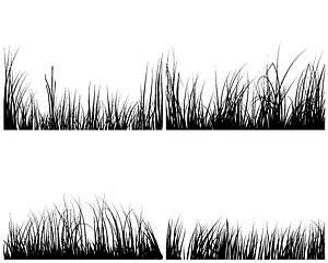 Image showing set of grass silhouettes