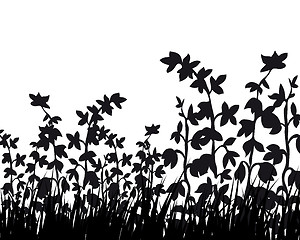 Image showing meadow silhouettes