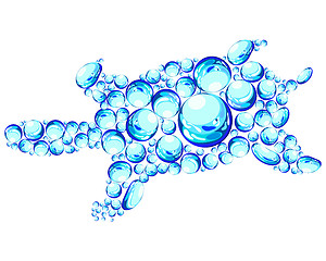 Image showing bubbles turtle