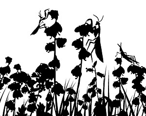 Image showing meadow silhouettes