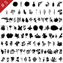 Image showing Plants set #3