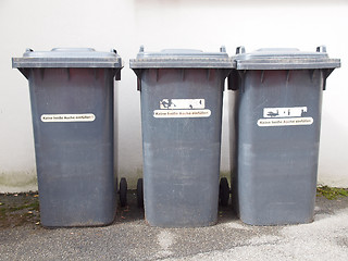 Image showing Litter