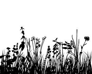 Image showing meadow silhouettes