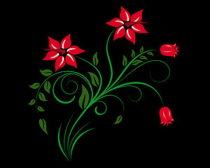 Image showing floral background