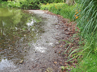 Image showing Water pollution