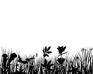 Image showing meadow silhouettes