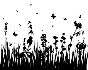 Image showing meadow silhouettes