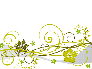 Image showing floral background