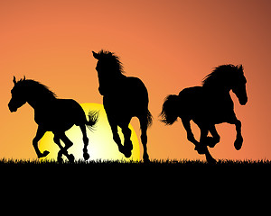 Image showing horse on sunset background