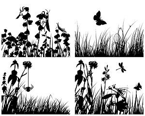 Image showing set of grass silhouettes