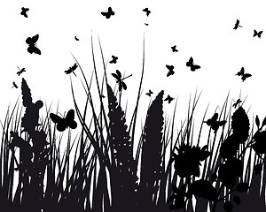 Image showing meadow silhouettes