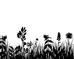 Image showing meadow silhouettes