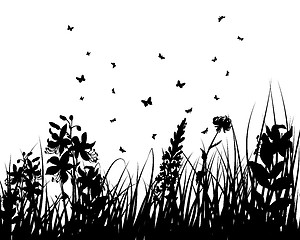 Image showing meadow silhouettes