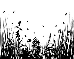 Image showing meadow silhouettes