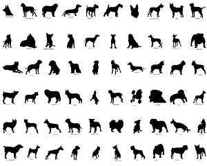 Image showing vector silhouettes of  dogs