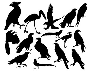 Image showing vector birds