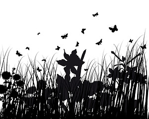 Image showing meadow silhouettes