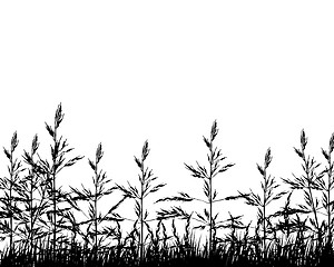 Image showing meadow silhouettes