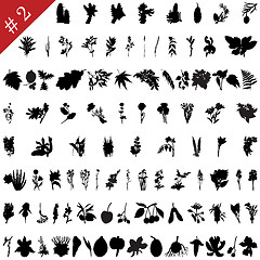 Image showing Plants set #2