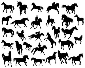 Image showing horses silhouettes