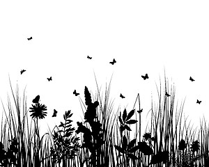 Image showing meadow silhouettes