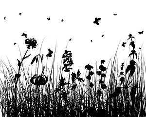 Image showing meadow silhouettes