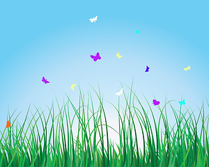 Image showing grass background