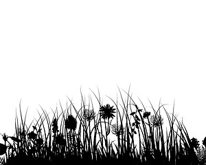 Image showing meadow silhouettes