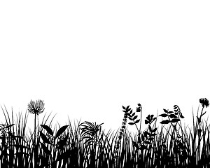 Image showing meadow silhouettes