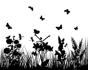 Image showing meadow silhouettes