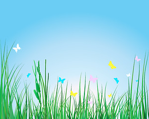 Image showing grass background