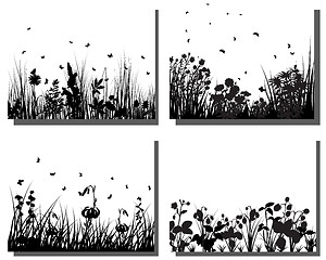 Image showing grass silhouettes set