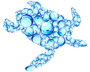 Image showing bubbles turtle