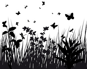 Image showing meadow silhouettes